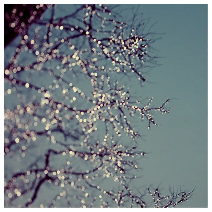 Festive - Fine Art Photograph