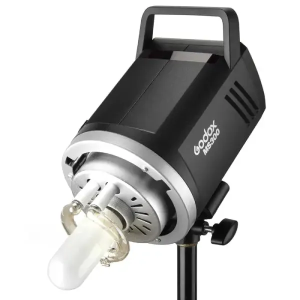 Godox MS300-F 2-Monolight Studio Light Kit