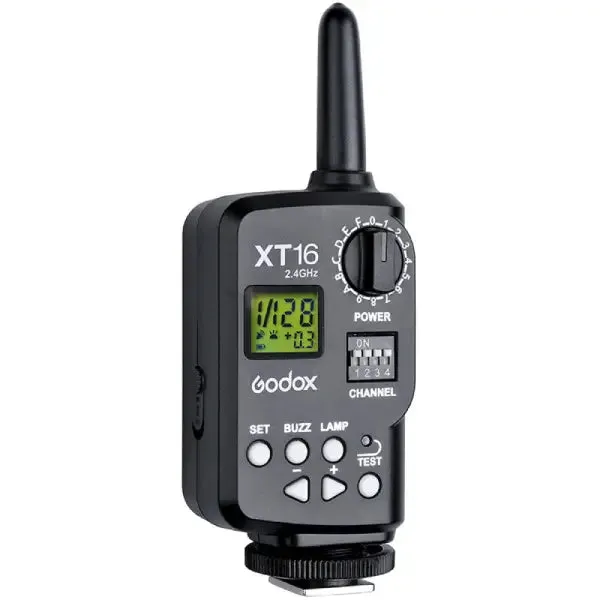 Godox MS300-F 2-Monolight Studio Light Kit