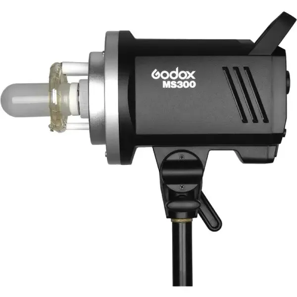 Godox MS300-F 2-Monolight Studio Light Kit