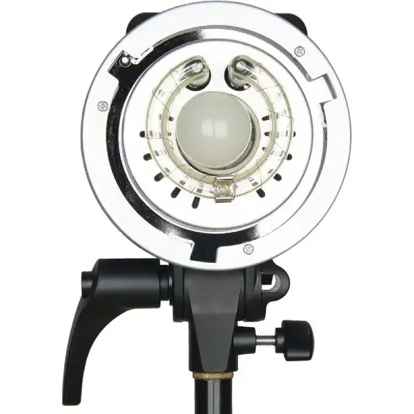 Godox MS300-F 2-Monolight Studio Light Kit