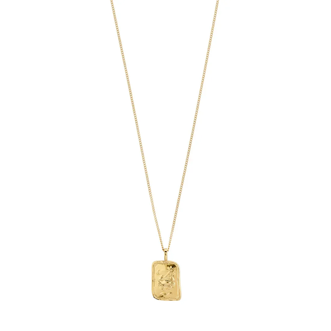 Pilgrim Zodiac Necklaces