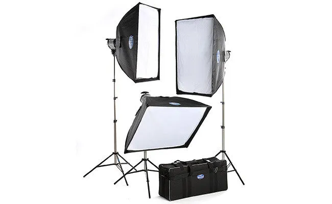 Savage 1000 Watt Quartz Light Kit