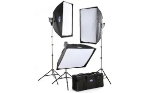 Savage 500 Watt Quartz Light Kit