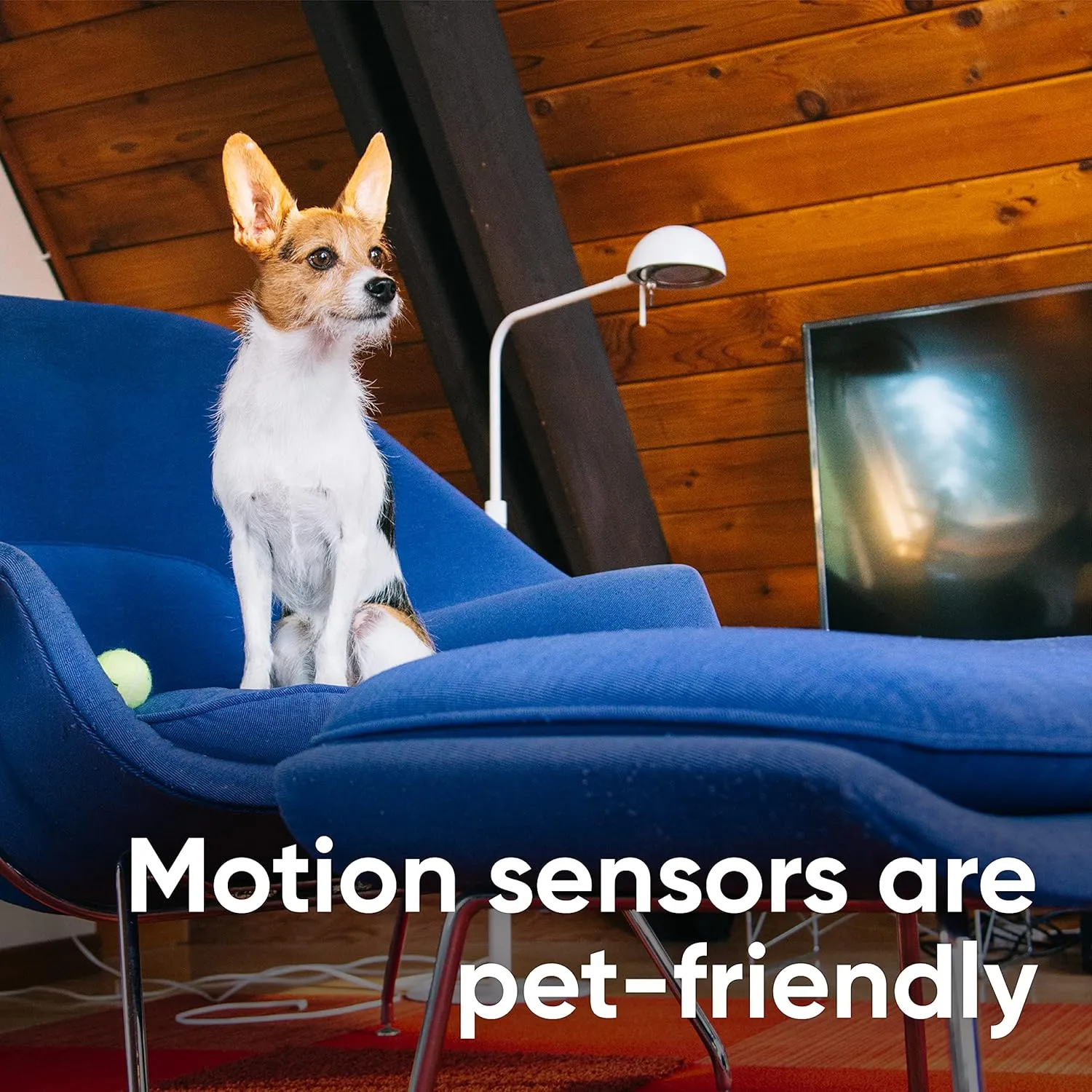 Wyze Home Security Core Kit: Hub, Keypad, Motion Sensor, Entry Sensors (x2); Compatible w/ Wyze Cam, Leak & Climate Sensors; 3 Mo. of 24/7 Professional Monitoring Service Incl., Subscription Required